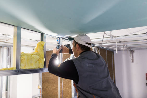 Types of Insulation We Offer in Alto, GA