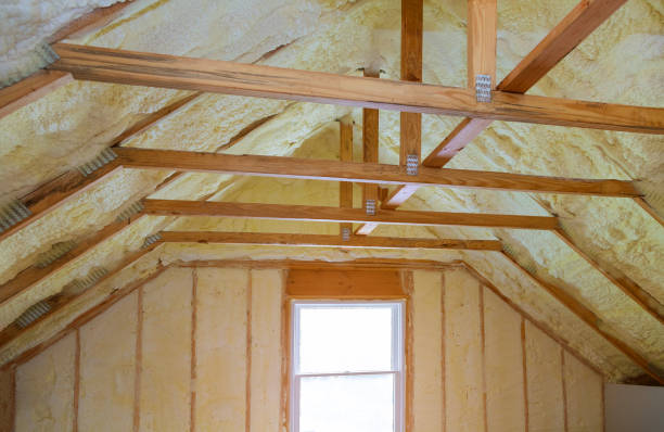 Best Spray Foam Insulation in Alto, GA