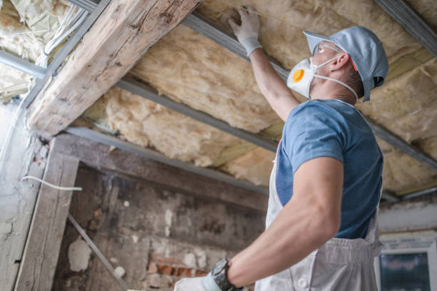 Best Residential Insulation in Alto, GA