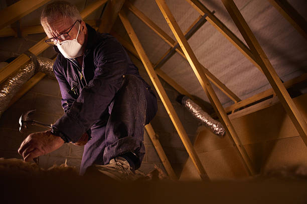 Best Eco-Friendly Insulation in Alto, GA